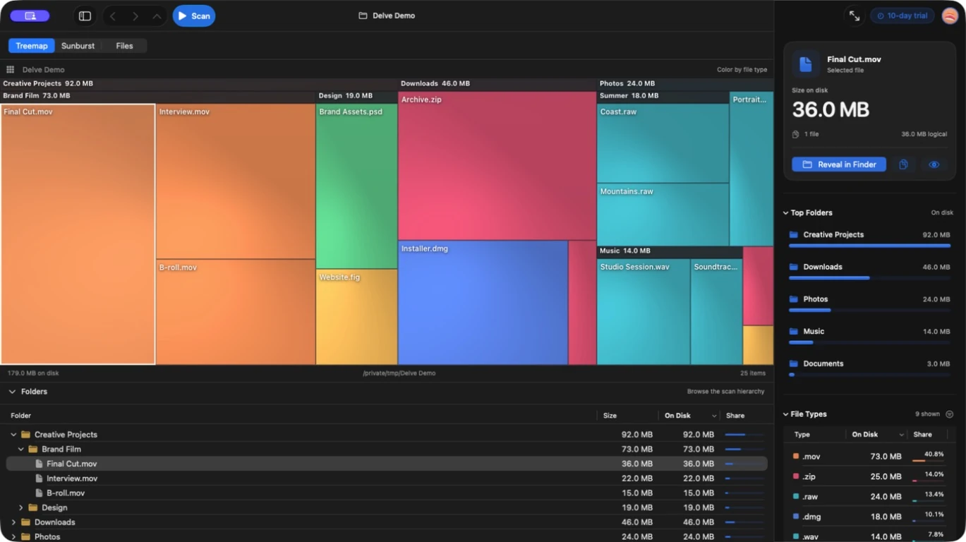 Delve running on macOS: a colorful disk treemap, file list, and selected-file inspector